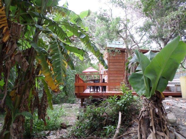 Yellowwood Forest Eco Retreat Морганс Бей Екстериор снимка